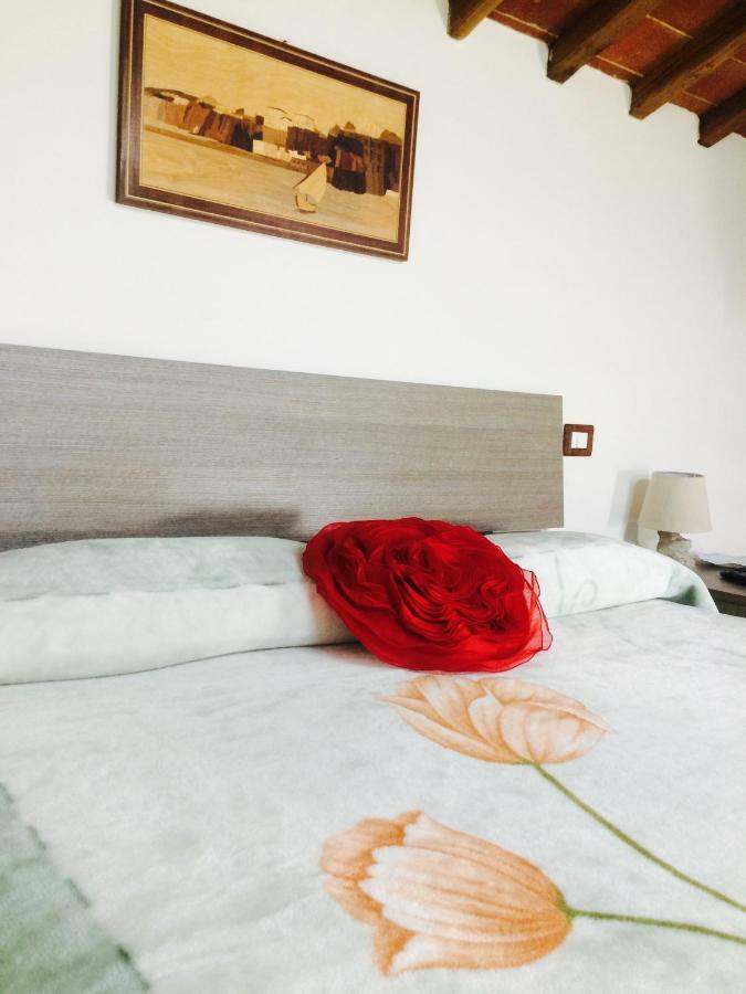 Mansarda Degli Ulivi Apartment Rigomagno Ngoại thất bức ảnh