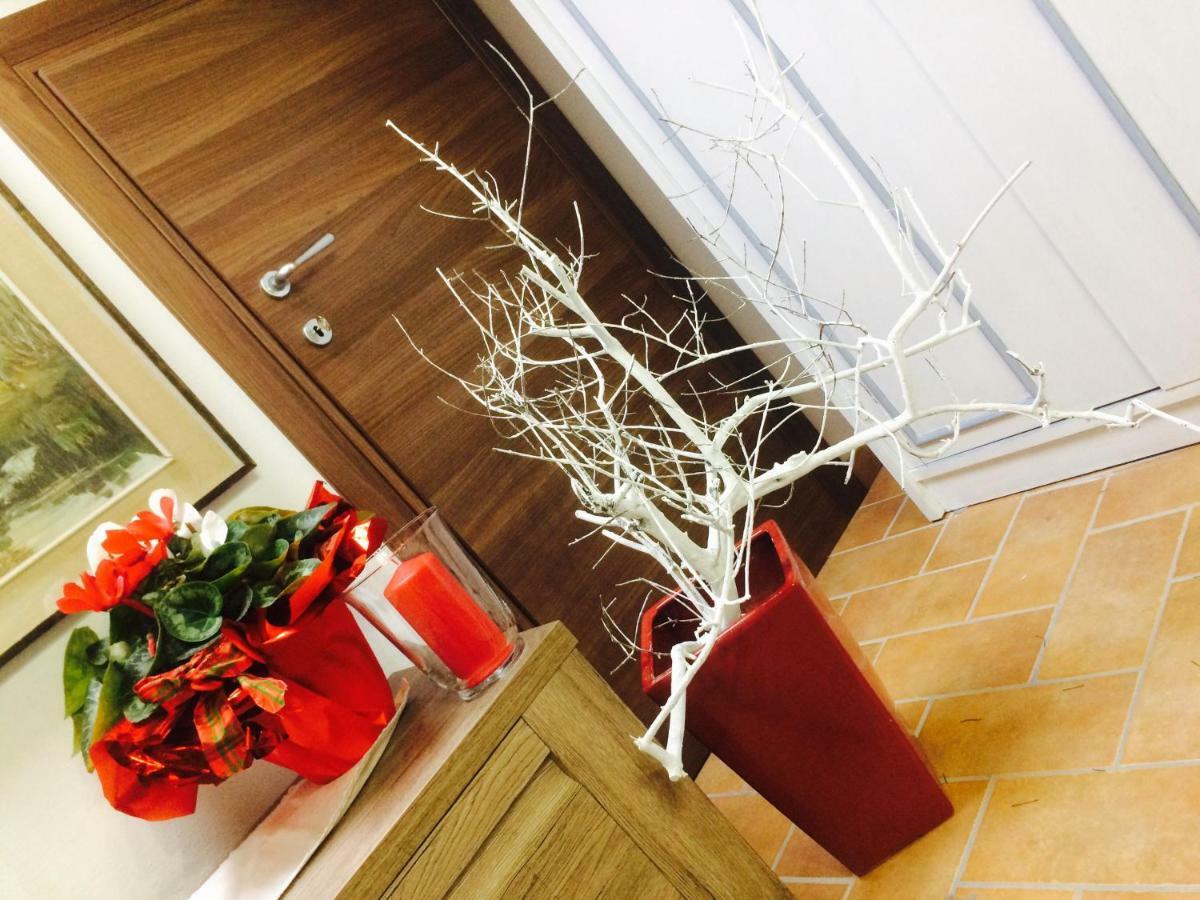Mansarda Degli Ulivi Apartment Rigomagno Ngoại thất bức ảnh